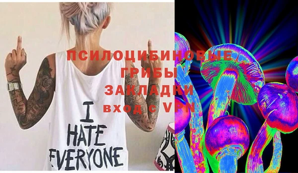 шишки Алексеевка